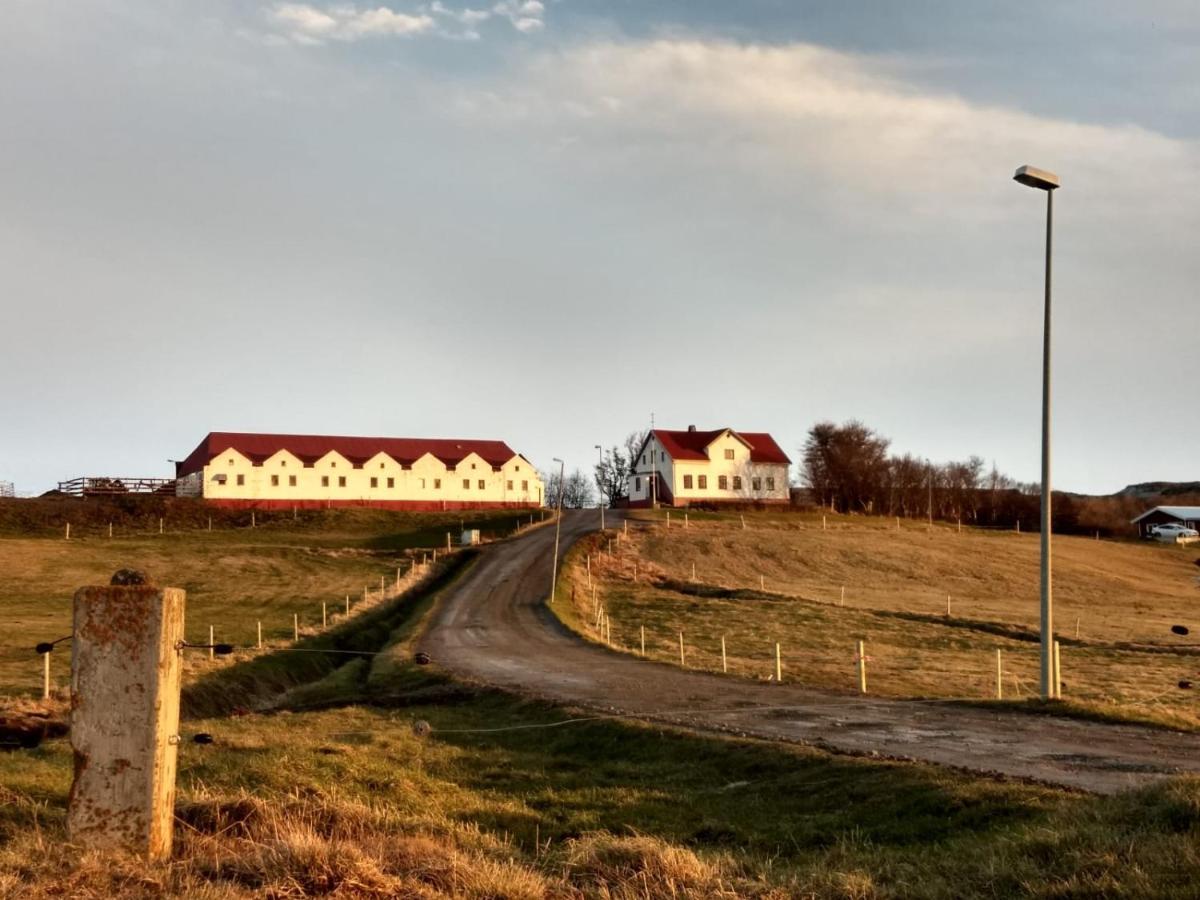 Helluland Guesthouse Saudarkrokur エクステリア 写真