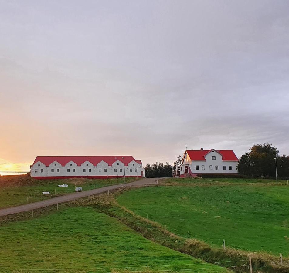 Helluland Guesthouse Saudarkrokur エクステリア 写真