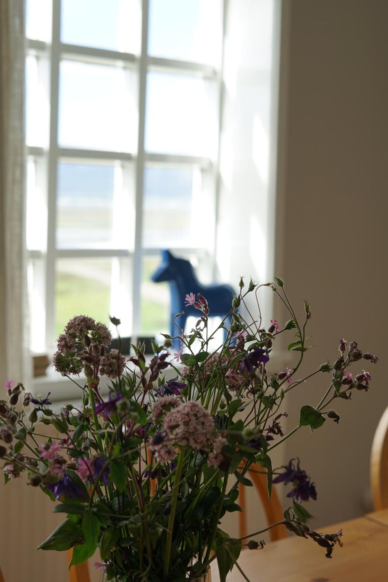 Helluland Guesthouse Saudarkrokur エクステリア 写真