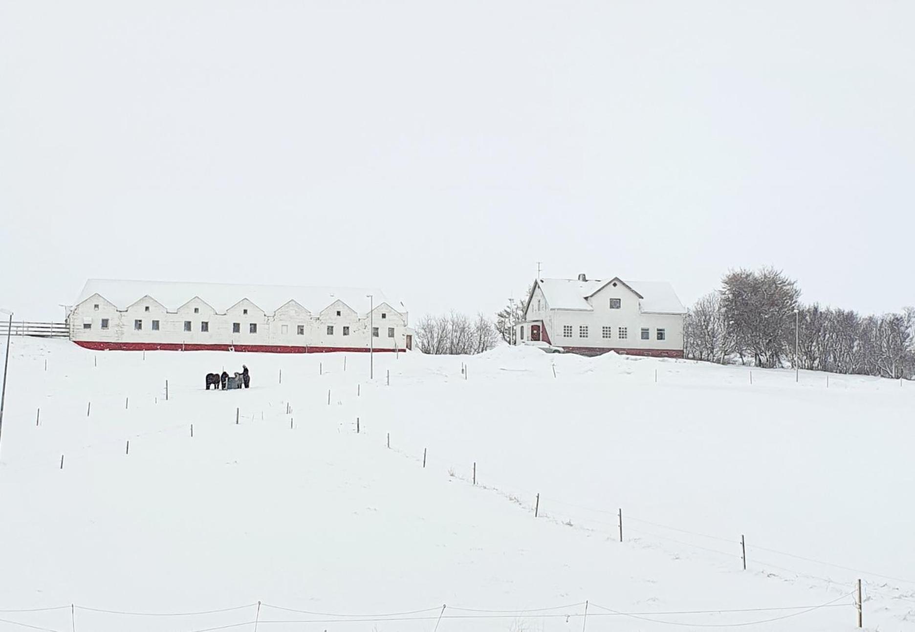Helluland Guesthouse Saudarkrokur エクステリア 写真